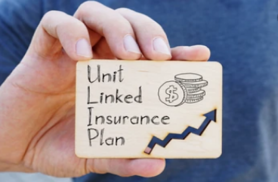 What is ULIP (Unit Linked Insurance Plan) Plan?