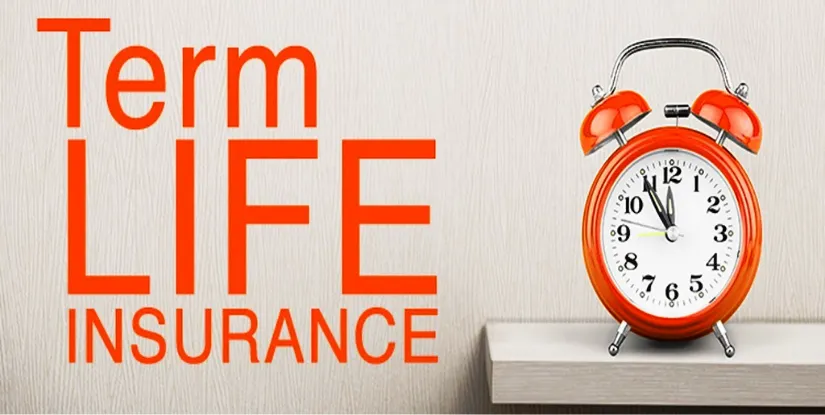 Understanding Term Insurance: Features, Benefits, and How to Calculate Premiums (Updated Oct 2025)