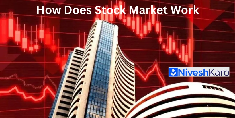 How Does Stock Market Work? Beginner's Guide to Indian Equity Markets